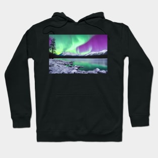 Winter Wonderland Series 11 Hoodie